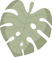 Monstera Leaf Cartoon © Mykola Syvak