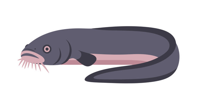 Illustration of a Loach Fish