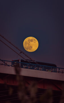 View of a large yellow full moon rising over the Nanpu Bridge with a bus crossing the span during twilight, Shanghai, Shanghai, China.