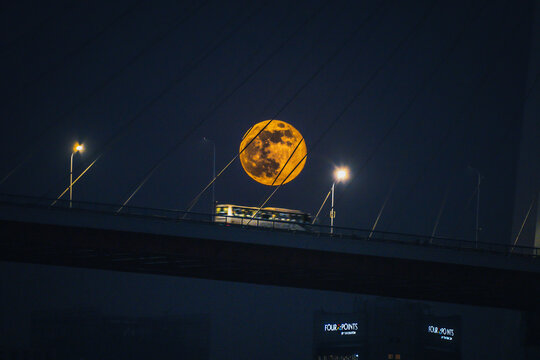 View of a large orange full moon rising behind the cables and deck of the Nanpu Bridge with a bus driving across at night in Shanghai, China.