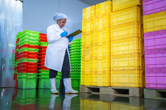 Quality control specialist wearing face mask inspecting food stock at processing plant warehouse, Female warehouse worker checking inventory among colorful plastic crates in industrial cold storage