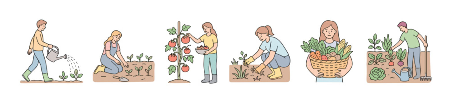 People cultivating and harvesting fresh organic vegetables in a home garden, illustrating the full process of growing food from planting to picking.
