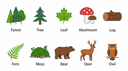 Obraz premium Colorful Forest Nature Elements Illustration Set.