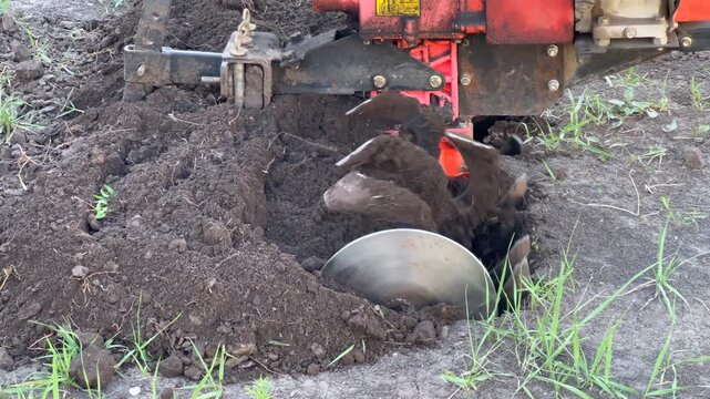 Rotary tiller cultivating the soil for planting