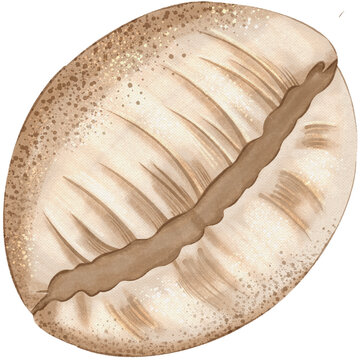 Hand drawn beige cowrie shell nursery clipart with grainy paper texture