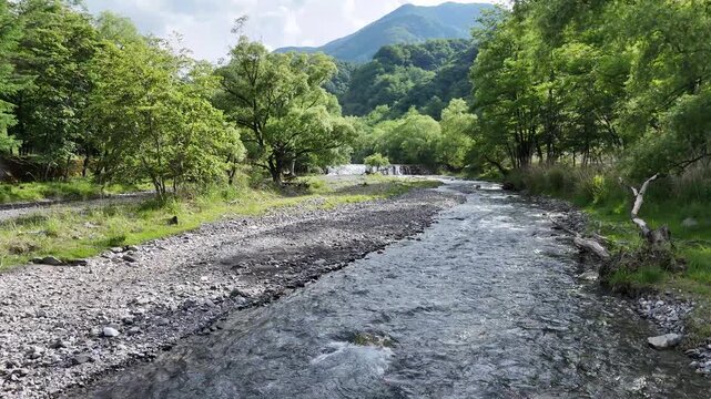Clear stream flows through green valley. Rocks and grass line the water's path. Trees stand tall beside flowing river. Mountains rise in distant background. Nature feels calm and alive here