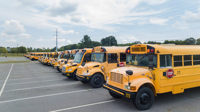 Shining and Ready: School Buses Poised for a New Year of Learning