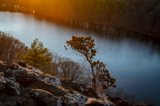 Lone Pine Tree on a Rocky Cliff at Sunset over the Bradley Hubbard Reservoir
