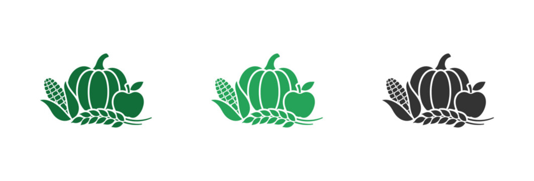 Harvest festival vector icons set with pumpkin corn apple and wheat stalks in different colors.