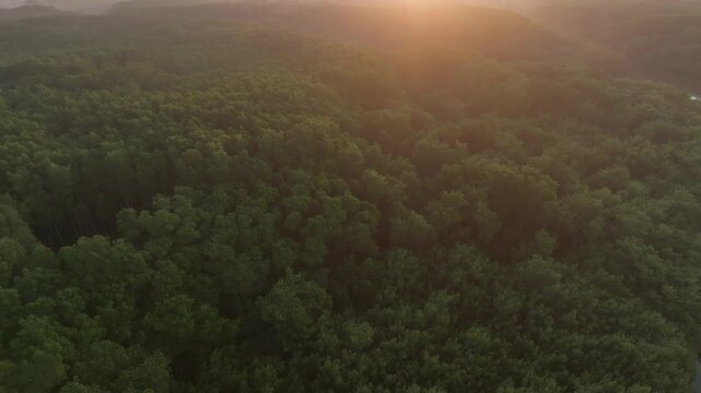 Amanaecer en los manglares de El Salvador. 