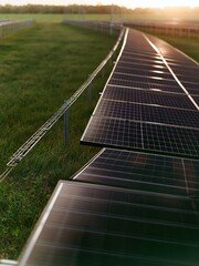 Fototapeta premium Renewable energy solar panels installed in a grassy field at sunset, capturing clean power