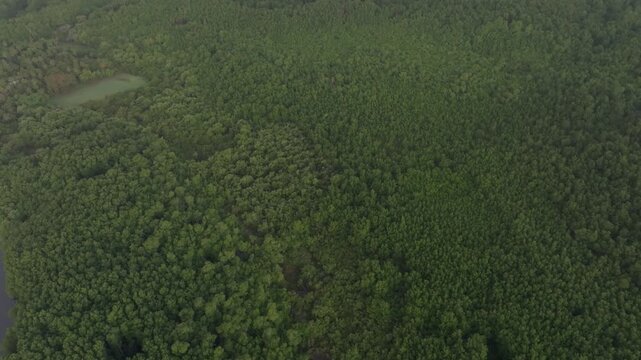 Paisajes verdes de El Salvador