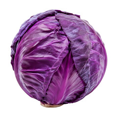 Fototapeta premium Purple Cabbage Head