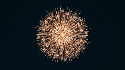 Fototapeta premium Vibrant firework explodes in night sky with bright orange sparks