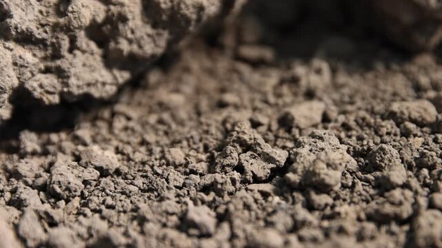 Texture of dry soil outdoors, closeup. Camera moving right