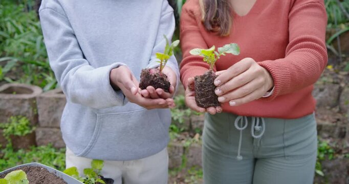 African American mother and daughter presenting seedlings, guiding planting at backyard table