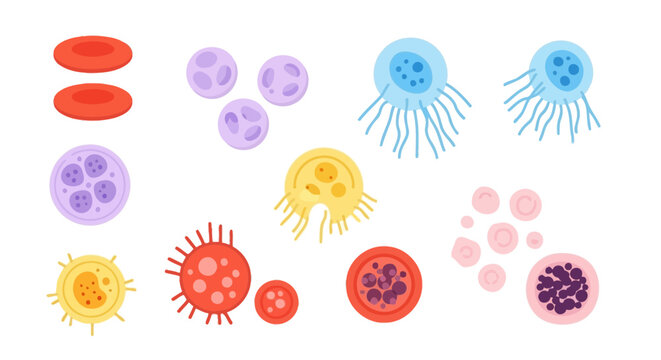 Illustration of various blood cells and viruses.