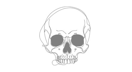 Obraz premium Minimalist single line drawing of a human skull, abstract, clean design