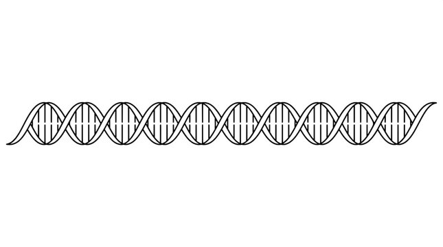 Horizontal seamless DNA double helix genetic structure line drawing with genetics structure molecule chromosome biotechnology biochemistry research sequence scientific laboratory