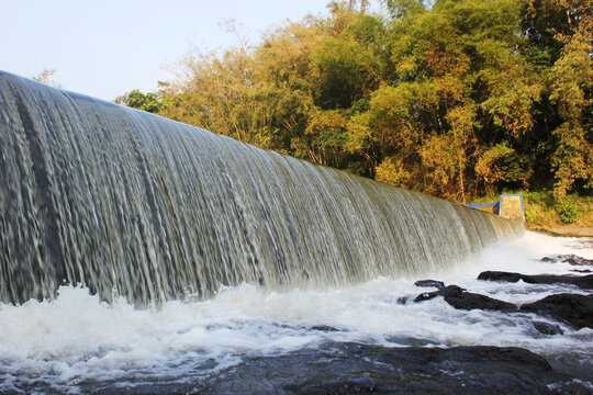 Water flowing over a small dam weir with bamboo forest in the background
