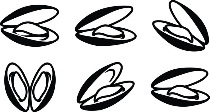 Set of black and white mussel shell illustrations