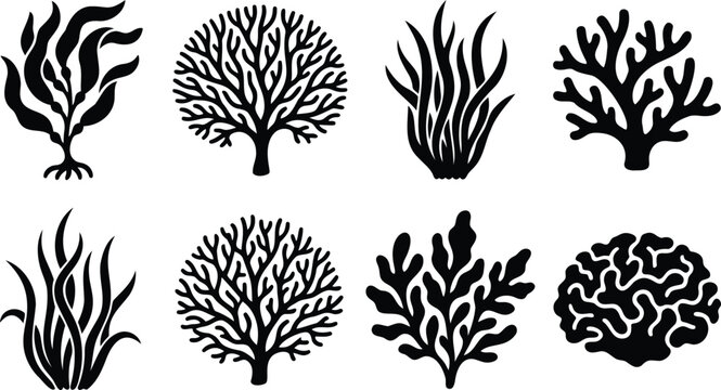 Black silhouette icons of sea coral and underwater seaweed