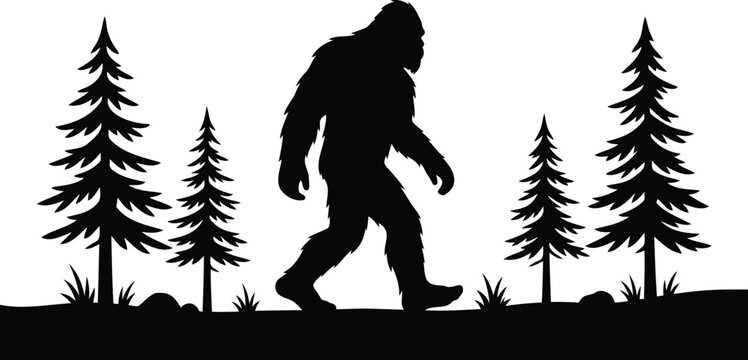 Bigfoot silhouette walking in a forest with pine trees