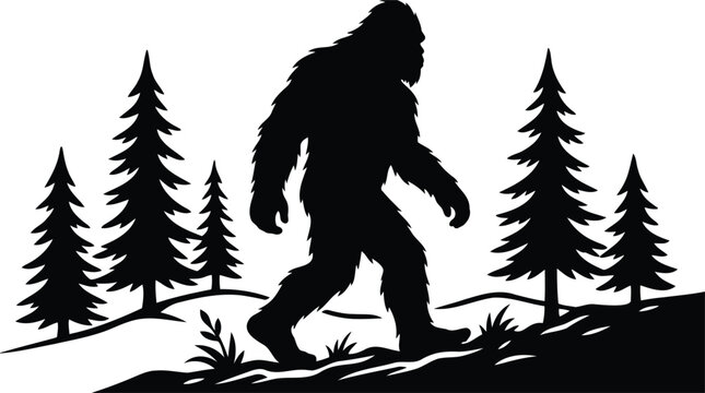 Bigfoot silhouette walking in a pine forest