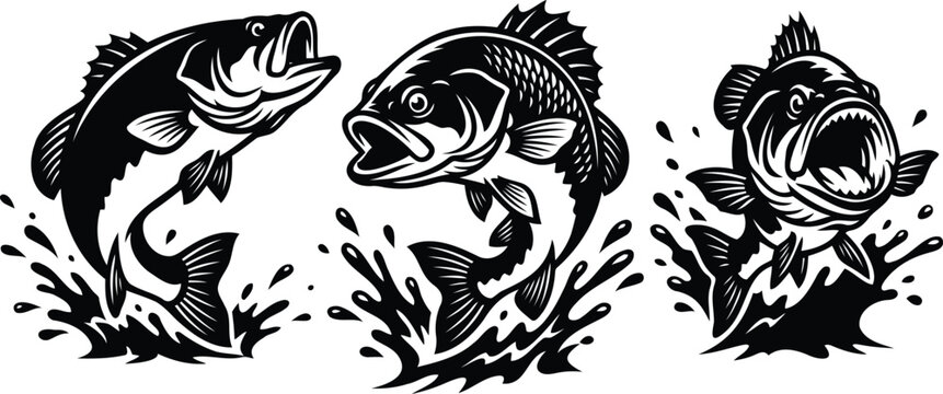 Three jumping bass fish black and white vector illustration