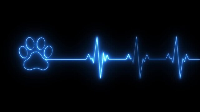 Glowing neon Dog Paw Print Heartbeat Line icon Veterinary Healthcare ECG. Heartbeat icon with Paw Print Symbolizing Animal Health and Care. animation