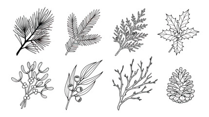 Hand drawn winter botanical collection, 8 black and white Christmas foliage vector elements, pine needles and holly berry line art icons © Tayba