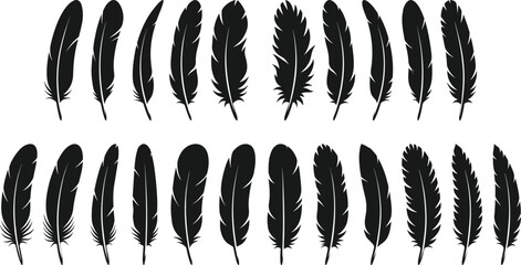 Collection of black bird feather silhouettes in different shapes and sizes isolated on a white background for design © PINKI