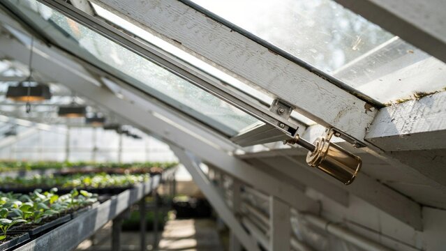 Greenhouse window mechanism maintains proper ventilation control for delicate plants growing in industrial nursery.
