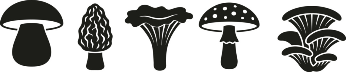 Edible and Wild Mushrooms Vector Icon Set Featuring Black Silhouette Shapes of Porcini Morel Chanterelle Amanita and Oyster Mushroom Varieties © Ashik 