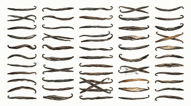 A collection of dried vanilla beans arranged in rows on a white background, showcasing their unique shapes and textures.