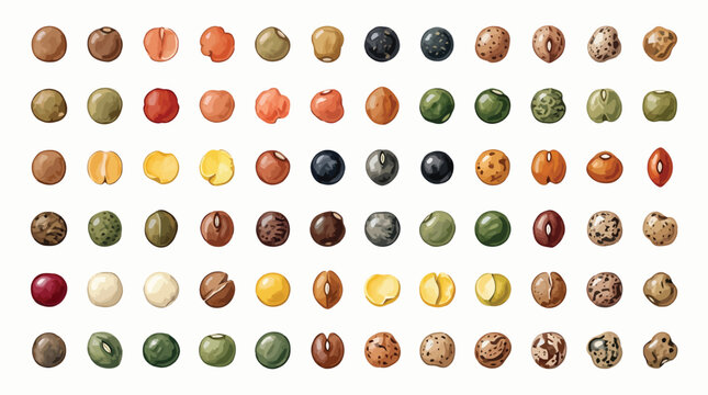 A vibrant collection of various dried legumes and lentils, showcasing a spectrum of colors and textures.