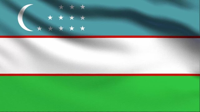 Full screen loop video of Uzbekistan flag waving