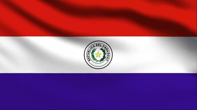 Full screen loop video of Paraguay flag waving