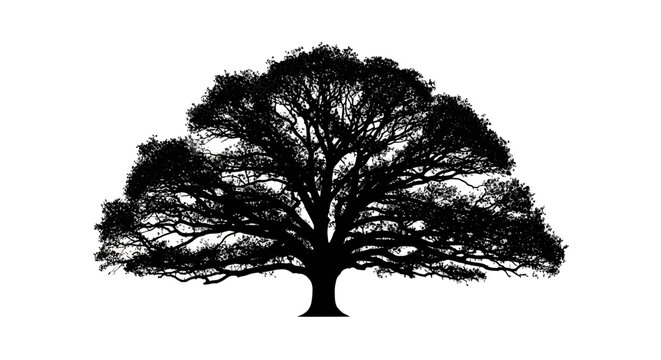 Tree silhouette, black tree, deciduous tree, landscape icon, nature symbol Vector