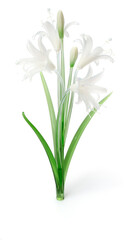 Fototapeta premium Glass Art Easter Lily Figurine on White Background