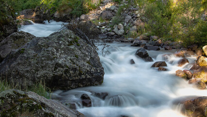 Obraz premium small waterfall in the forest