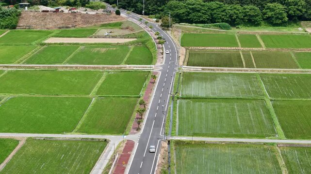 Aerial view shows winding road through lush green rice paddies. Fields stretch wide, bordered by trees and earthy paths. Vehicles travel slowly, blending with nature's calm rhythm