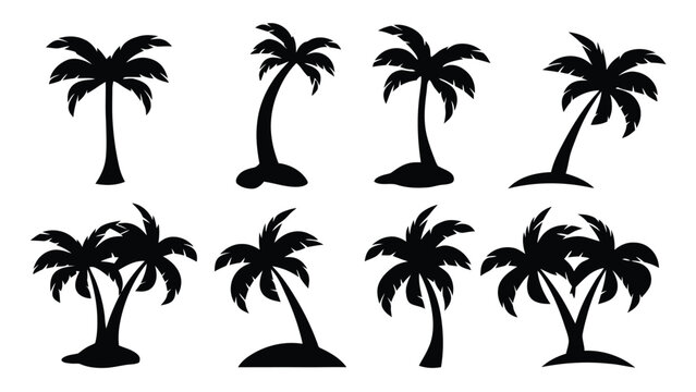 Tropical palm tree silhouettes, set of 8 black coconut tree icons, summer beach vacation vector elements for travel branding and logo design