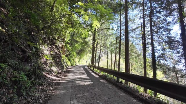 高尾山　一号路　2026年4月

