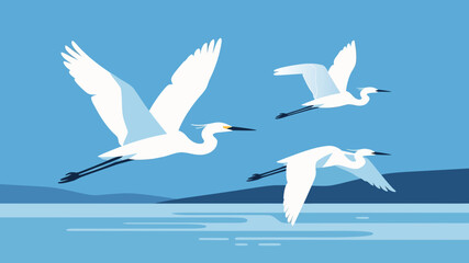 Obraz premium A flat illustration of three white egrets flying gracefully over a calm body of water against a clear blue sky.