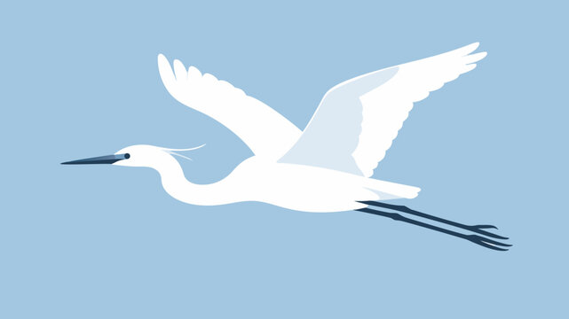 Minimalist vector illustration of a white egret in flight against a solid light blue background, showcasing elegant wings and a long neck.