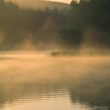 朝もや」の写真素材 | 4,071件の無料イラスト画像 | Adobe Stock