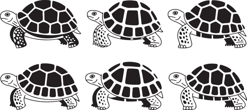 Six cartoon turtles walking in different directions