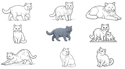 Fototapeta premium British Shorthair cat vector set. Collection of cute line art and colored cat characters in various poses—walking, sitting, stretching, and mother with a kitten. Isolated on white background.