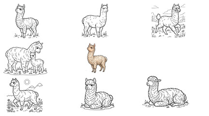 Alpaca vector illustration set. Collection of cute line art and colored alpaca characters in various poses—standing, lying down, running, and a mother with a baby cria. Isolated on white. © idrus